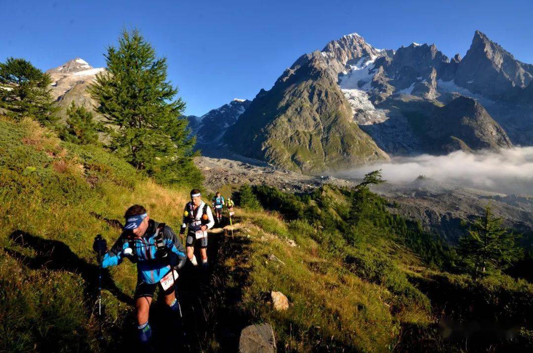 山地越野比赛的那些"神秘代码"_赛事_登山_距离