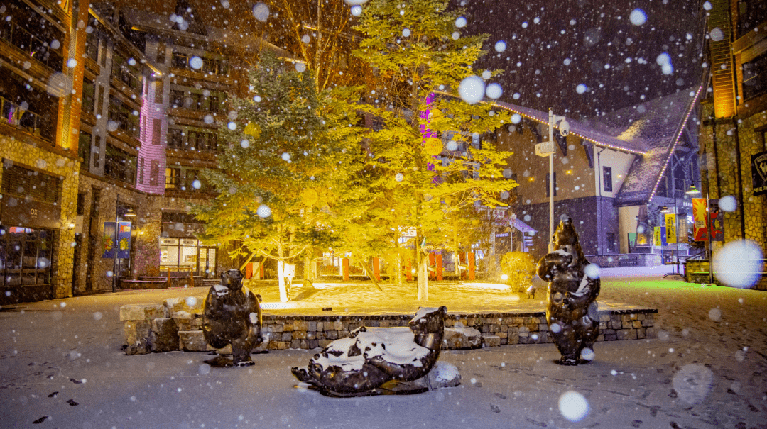 热雪燃冬以板会友 | 松花湖夜场最全弄法揭秘