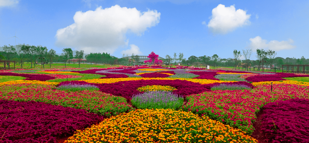 松滋曲尺河溫泉度假邨(賞油菜花,桃花,泡溫泉)—劉家場鎮鄭家鋪村葉家