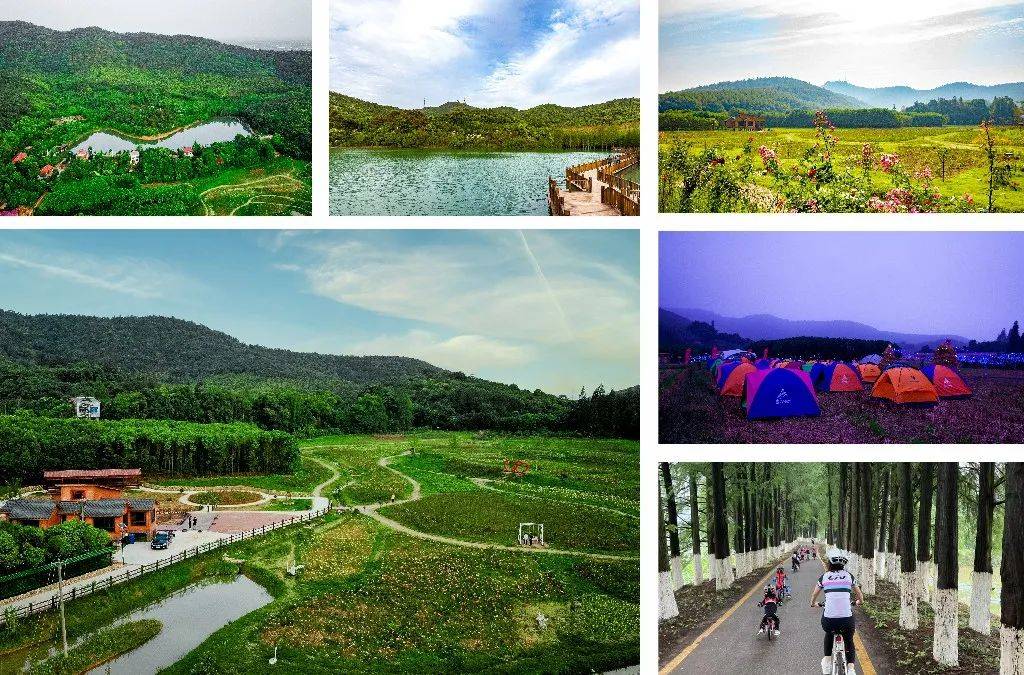 公安县健康主题公园(赏樱花,野餐)—公安县仁和公园(赏百亩梅园,品