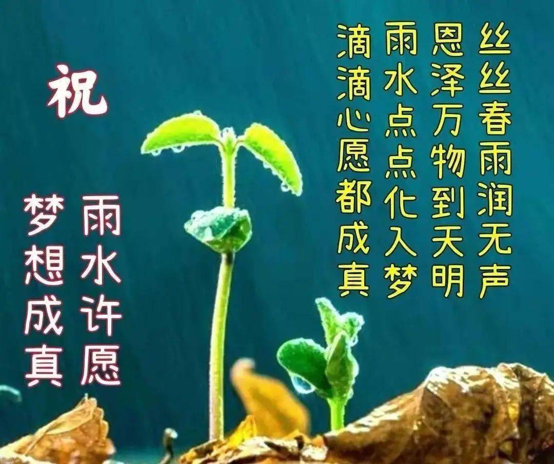 时令值雨水,浇开百花美,滴滴传真情,朵朵展娇媚