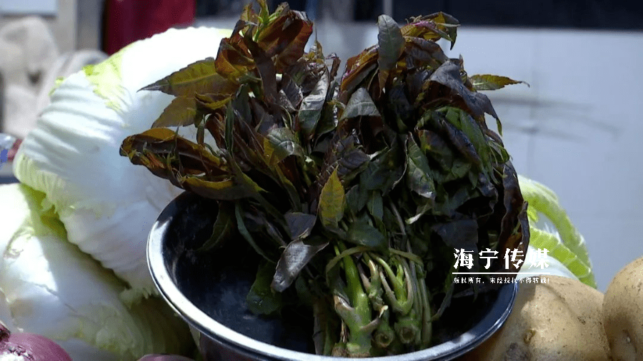 什么人不能吃荠菜根_荠菜吃好吗_荠菜吃了对身体好吗