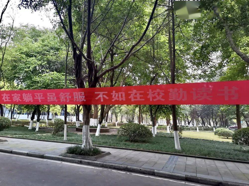 咦,瞧瞧这些迎新横幅_学期_排版_考试