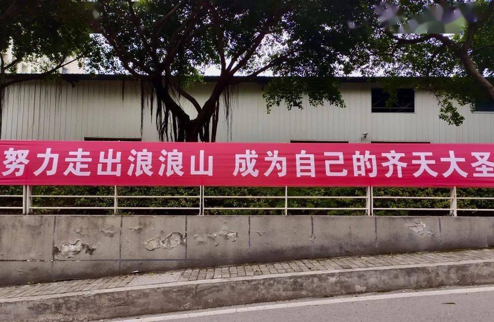 咦,瞧瞧这些迎新横幅_学期_排版_考试