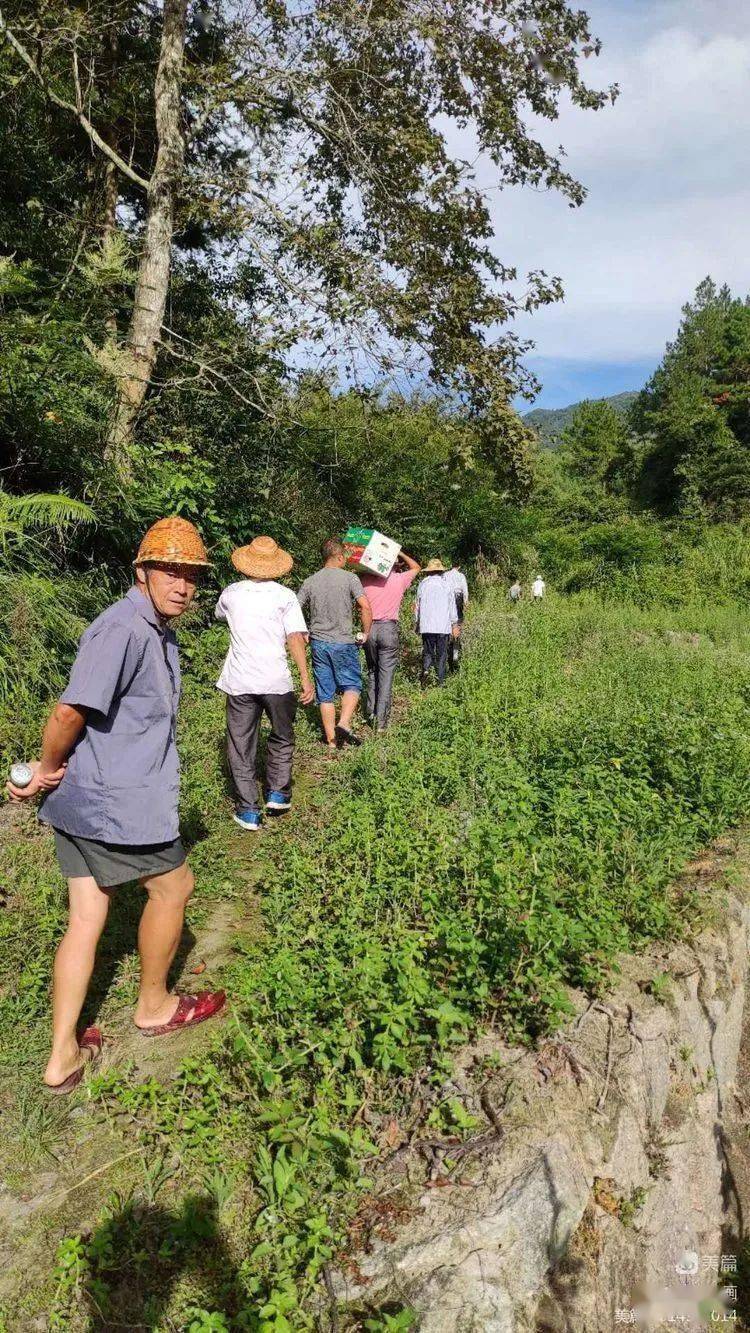 诏安县秀篆镇书记图片