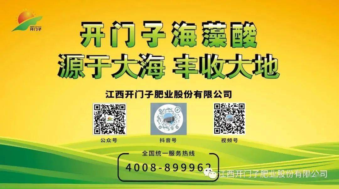 记者:您和您的团队在推进化肥减量增效方面,这些年做了哪些工作,有