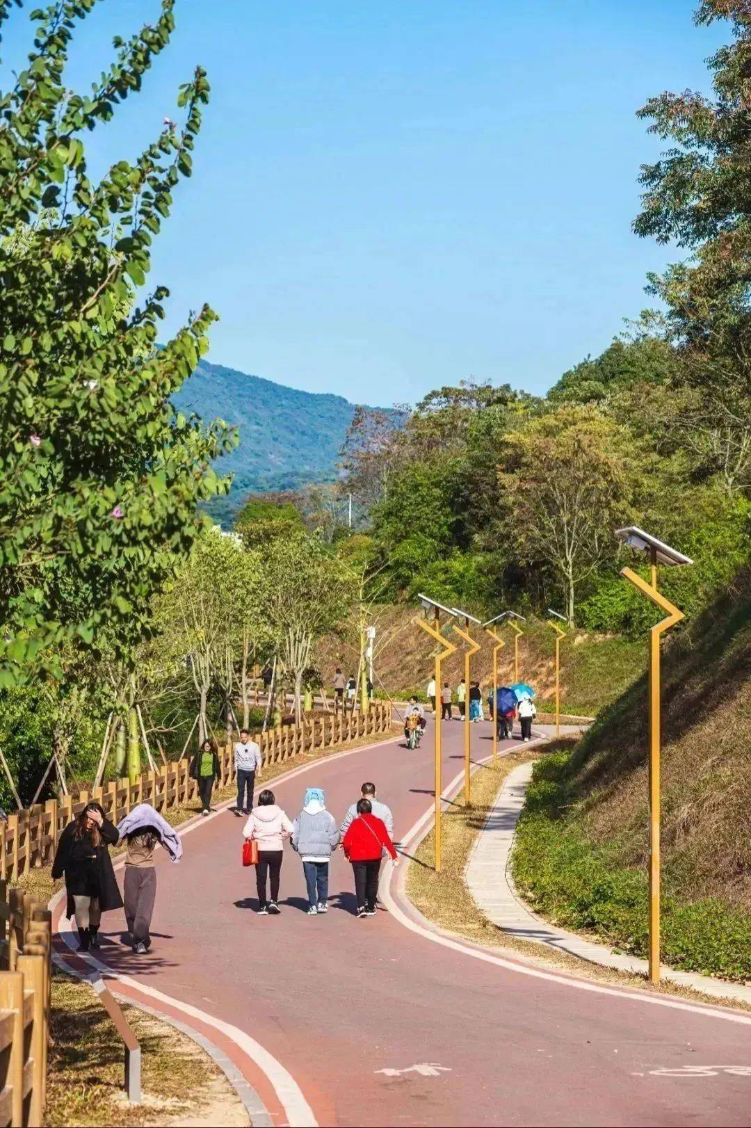 凤山绿道风景介绍图片