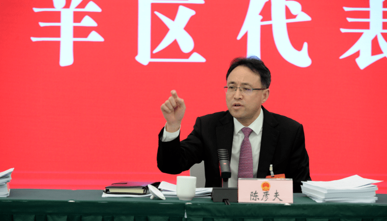 陈彦夫参加青羊代表团审议_工作_发展_报告