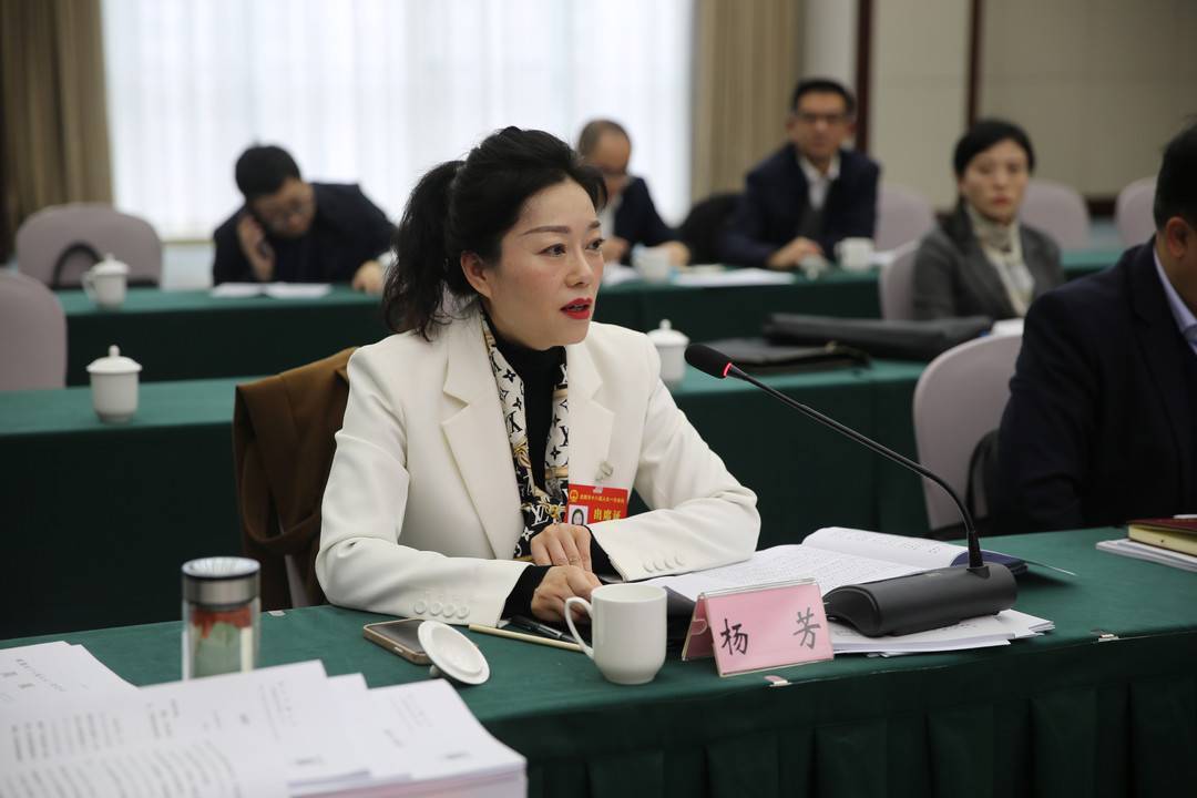 成都市人大代表杨芳:建议在城市更新中探索分楼栋分单元改造 扶持一批