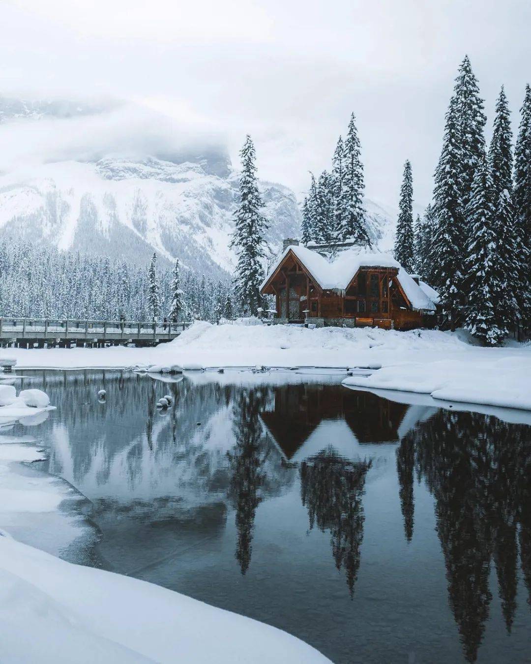 加拿大雪景 冬季图片