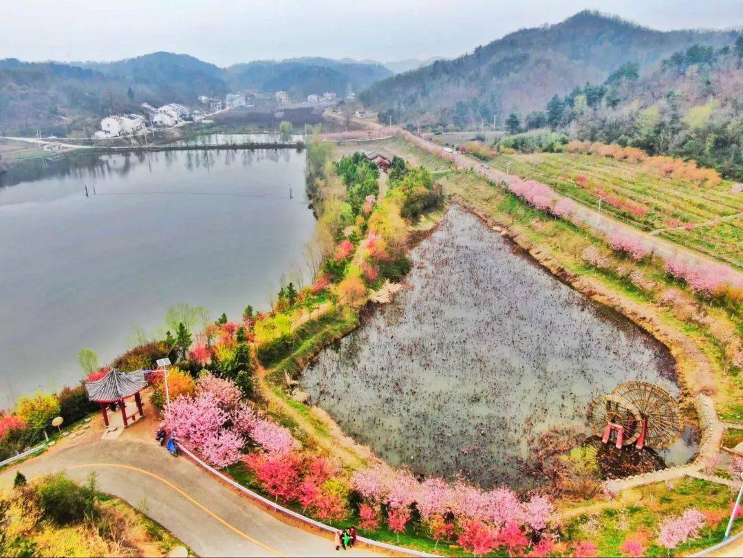 襄阳桃花岭生态园门票图片