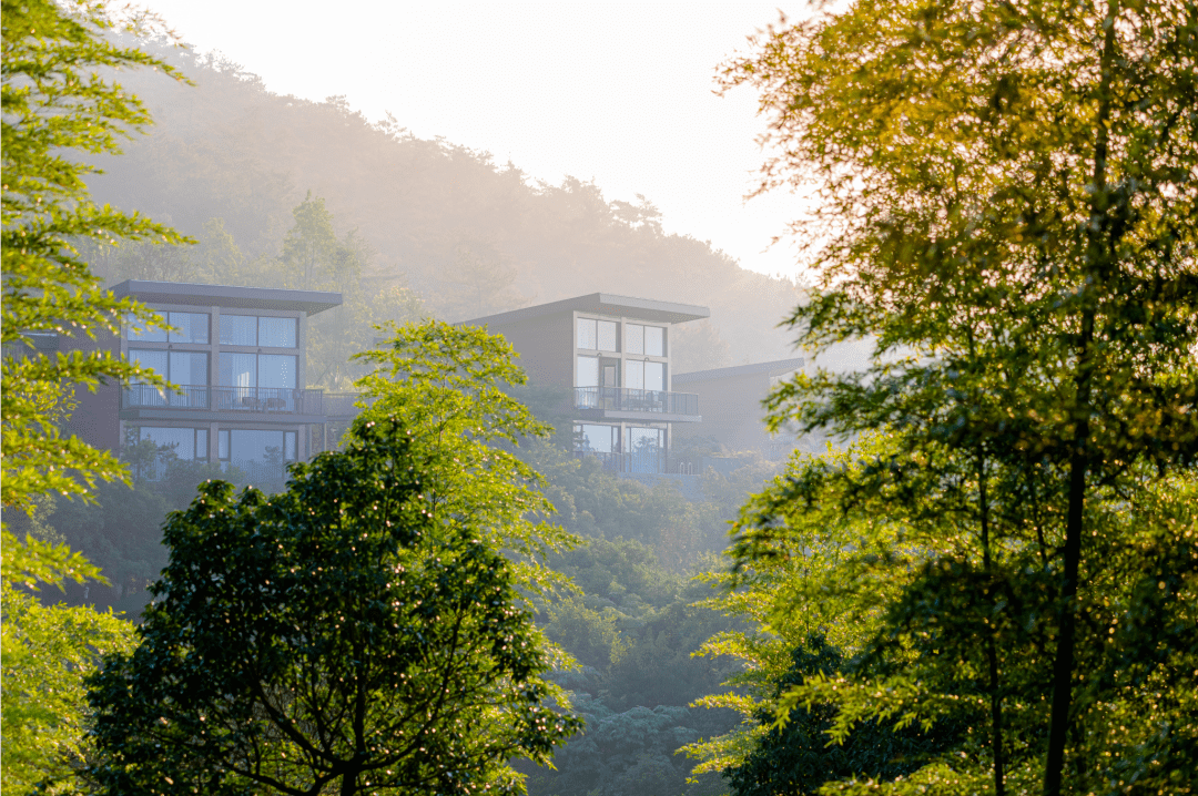 周末不加价！人均300住进避世小寡秘境，山川竹林、丛林树屋、悬浮泳池，碰见心中的静谧之地！