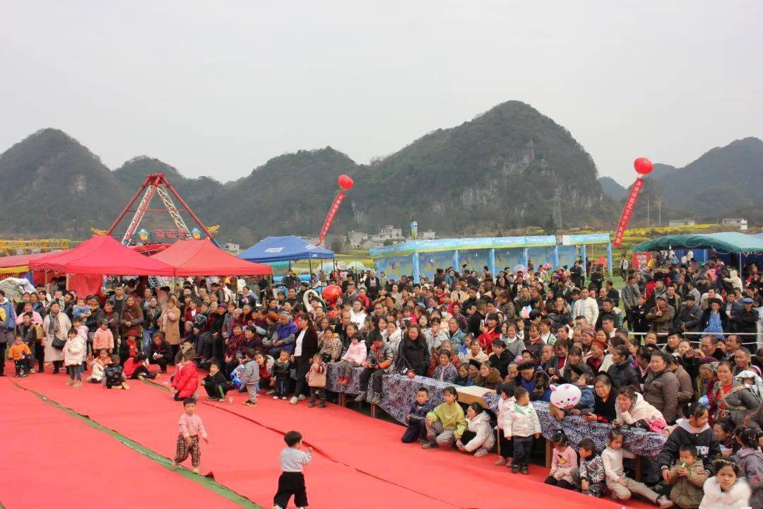 2月25日,木崗鎮瓦窯村舉辦的花海木崗——油菜花藝術節活動,各地