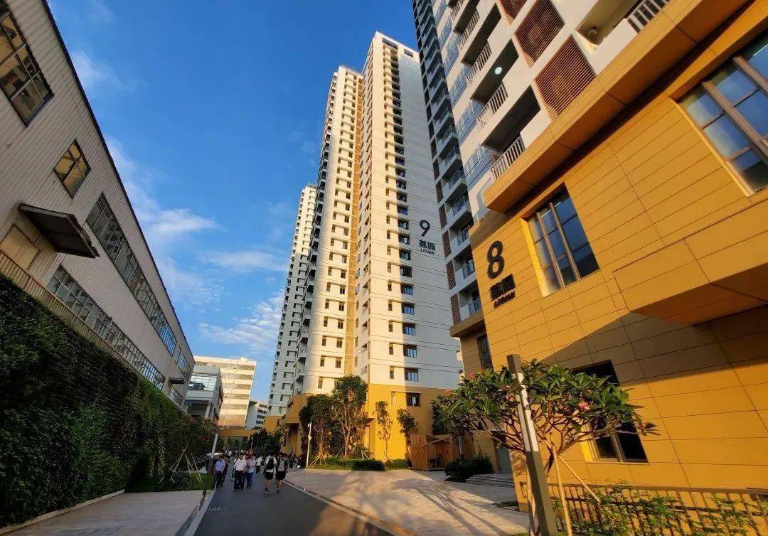 宁波大学宁波大学东部校区寝室一共有四个区,甬江公寓,南门公寓,本部
