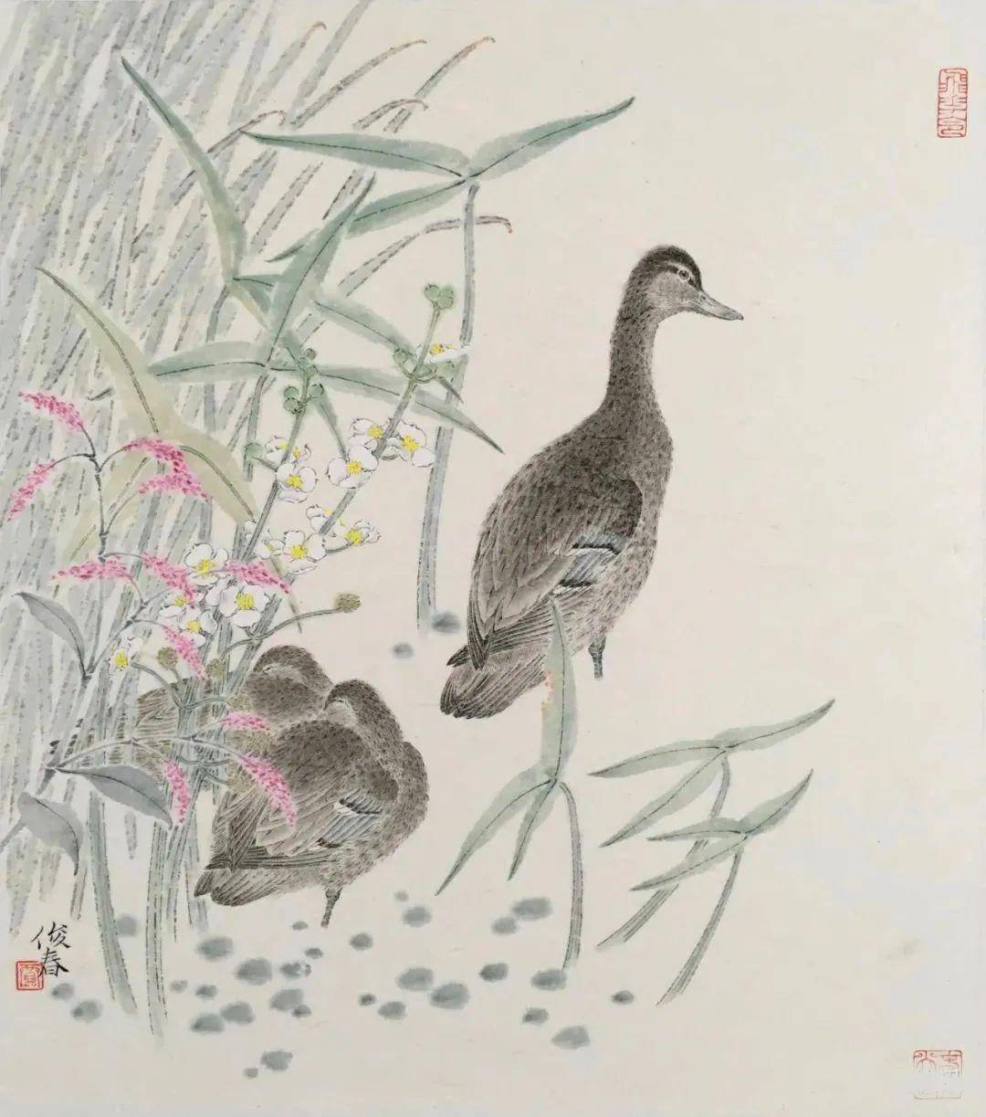 清新淡雅天然饰——贾俊春花鸟画_工笔_中国美协_作品