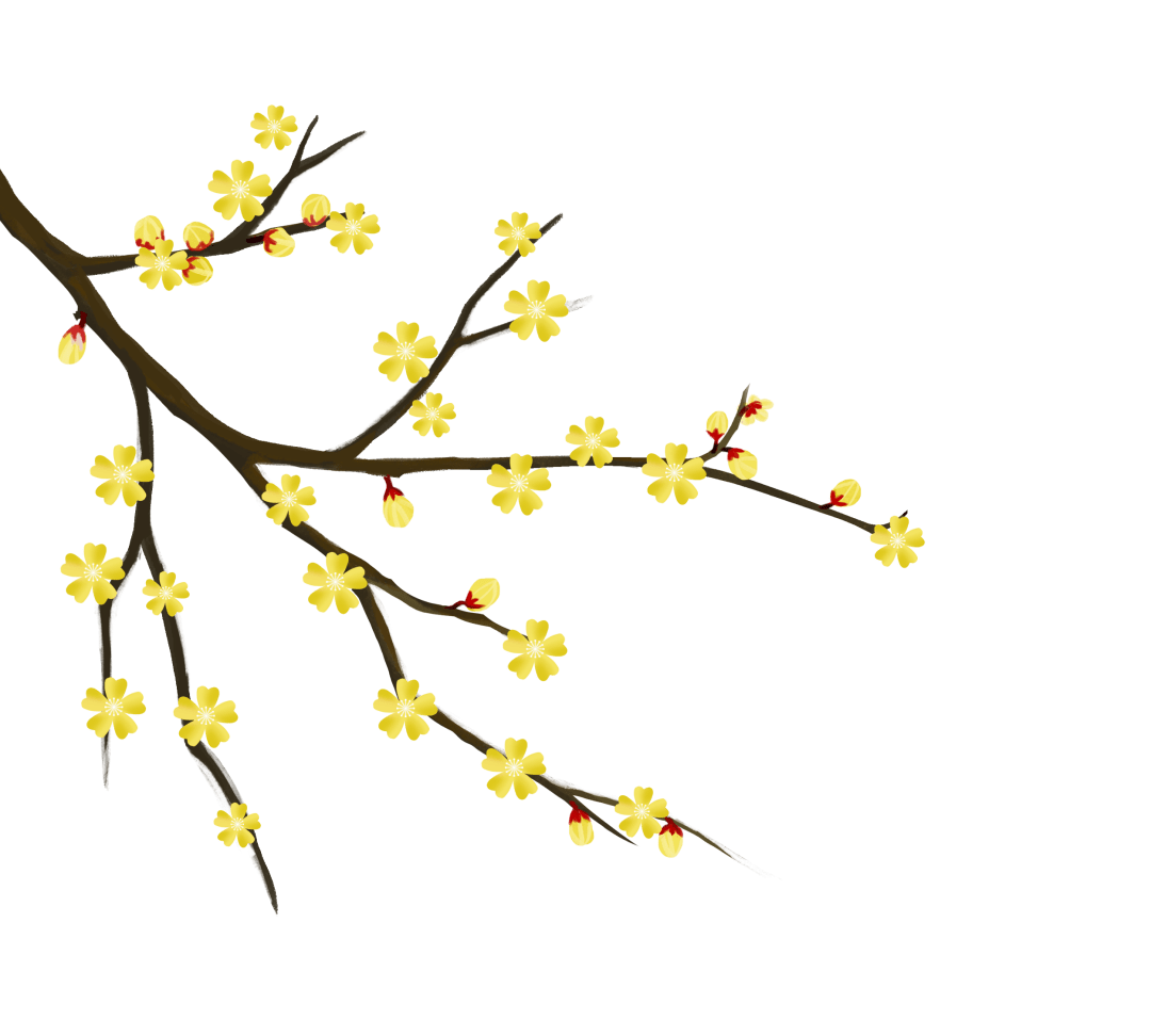 �������˱�����һĨ������ɫ