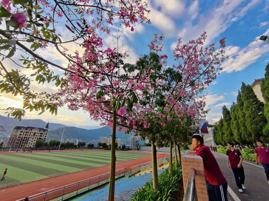 【展播】花开的声音④|米易县闻道中学:手执春光,耕耘希望,邂逅闻道