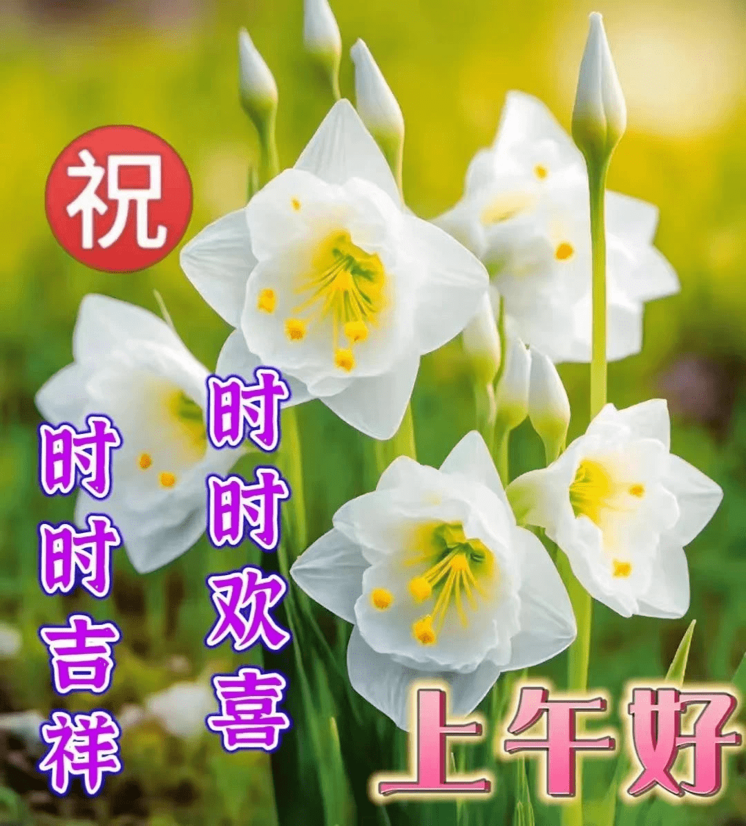 【早安馨語】祝您健康快樂每一天!_人生_時候_陽光