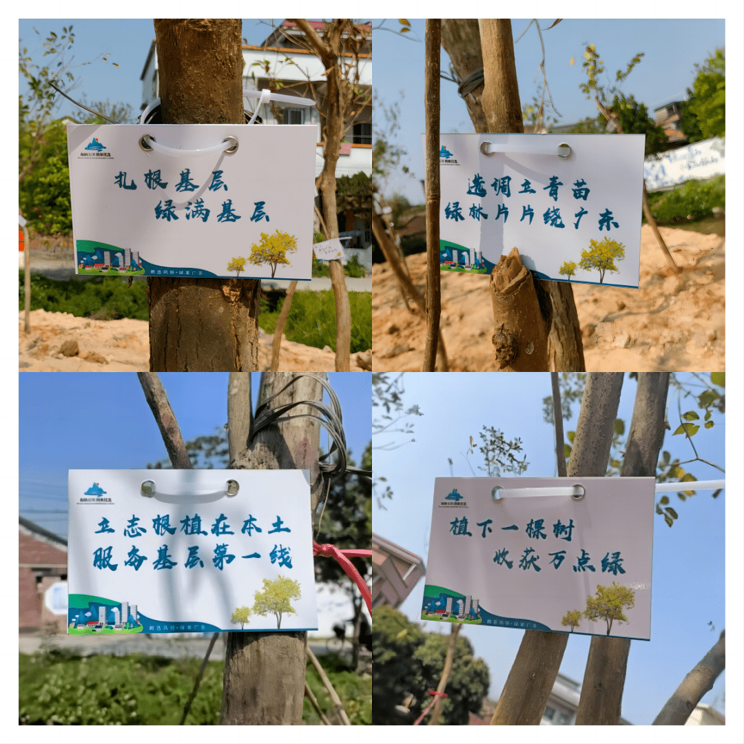 厚植为民情怀"……活动最后,选调生还在种下的树木上悬挂寄语卡片
