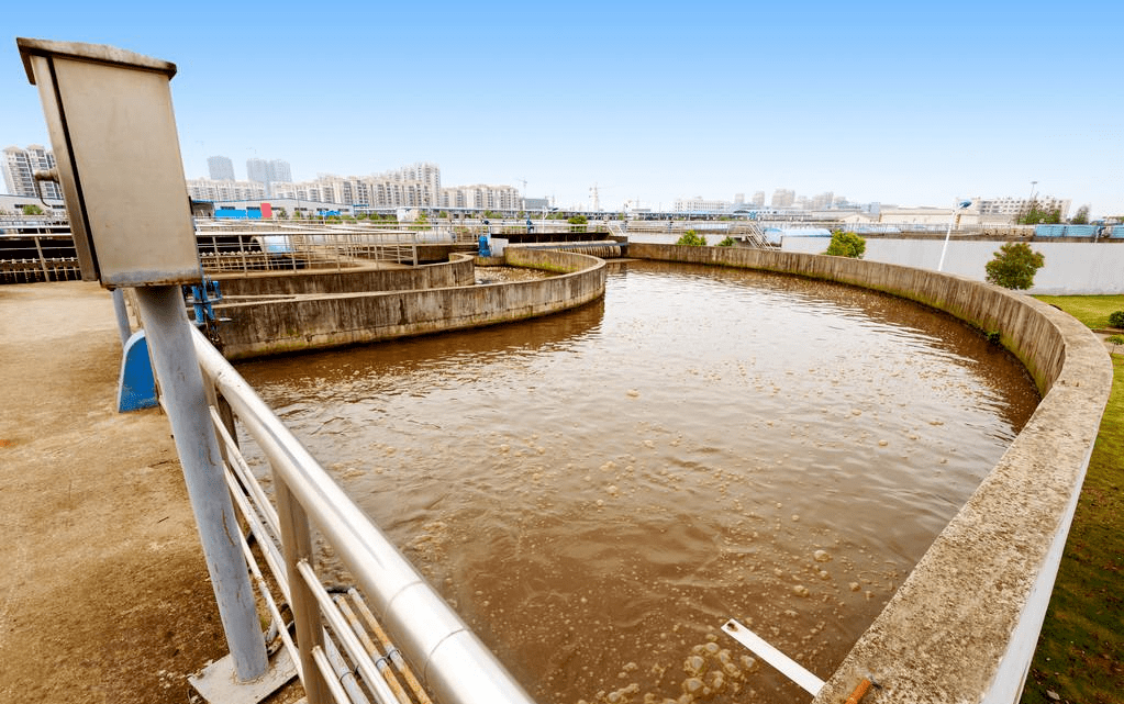 剩余污泥中暗藏那些危机,有什么方式处理它们?_微生物_污染_进行