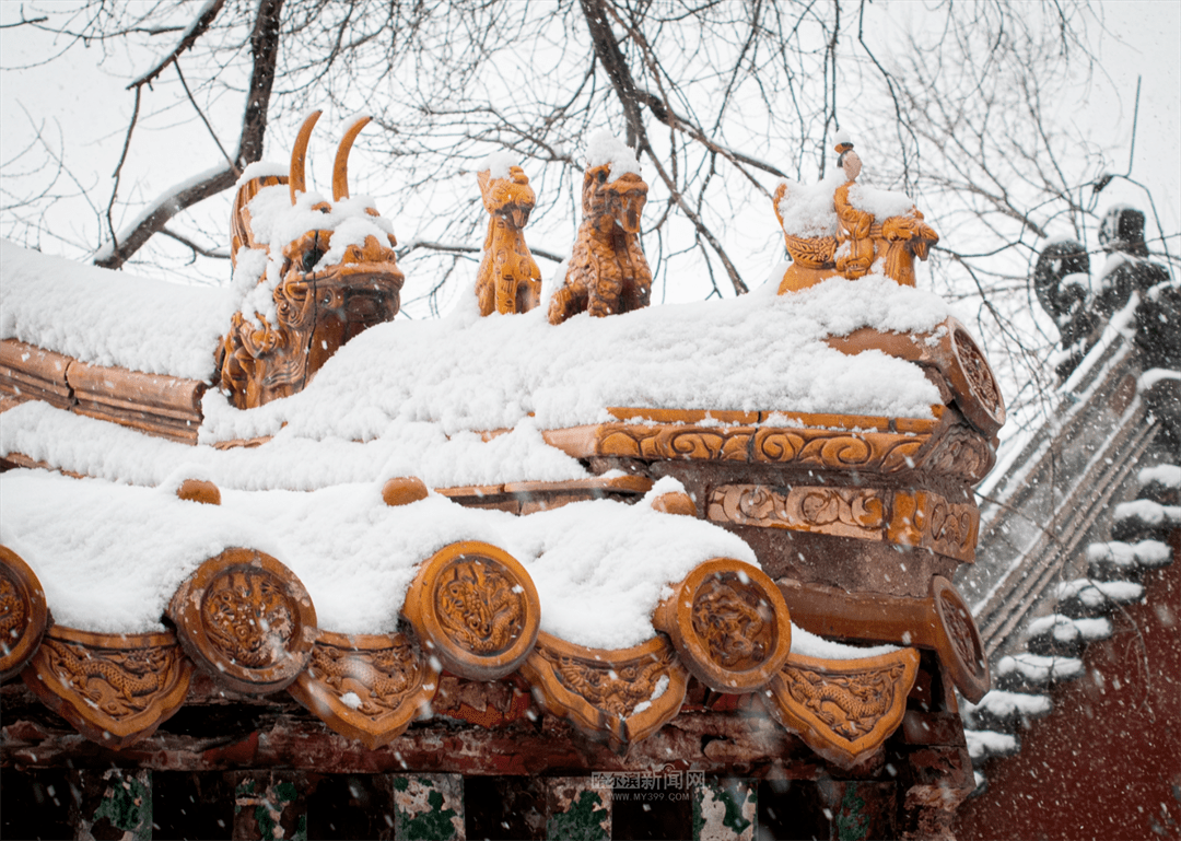 三月的雪花能够有多都雅