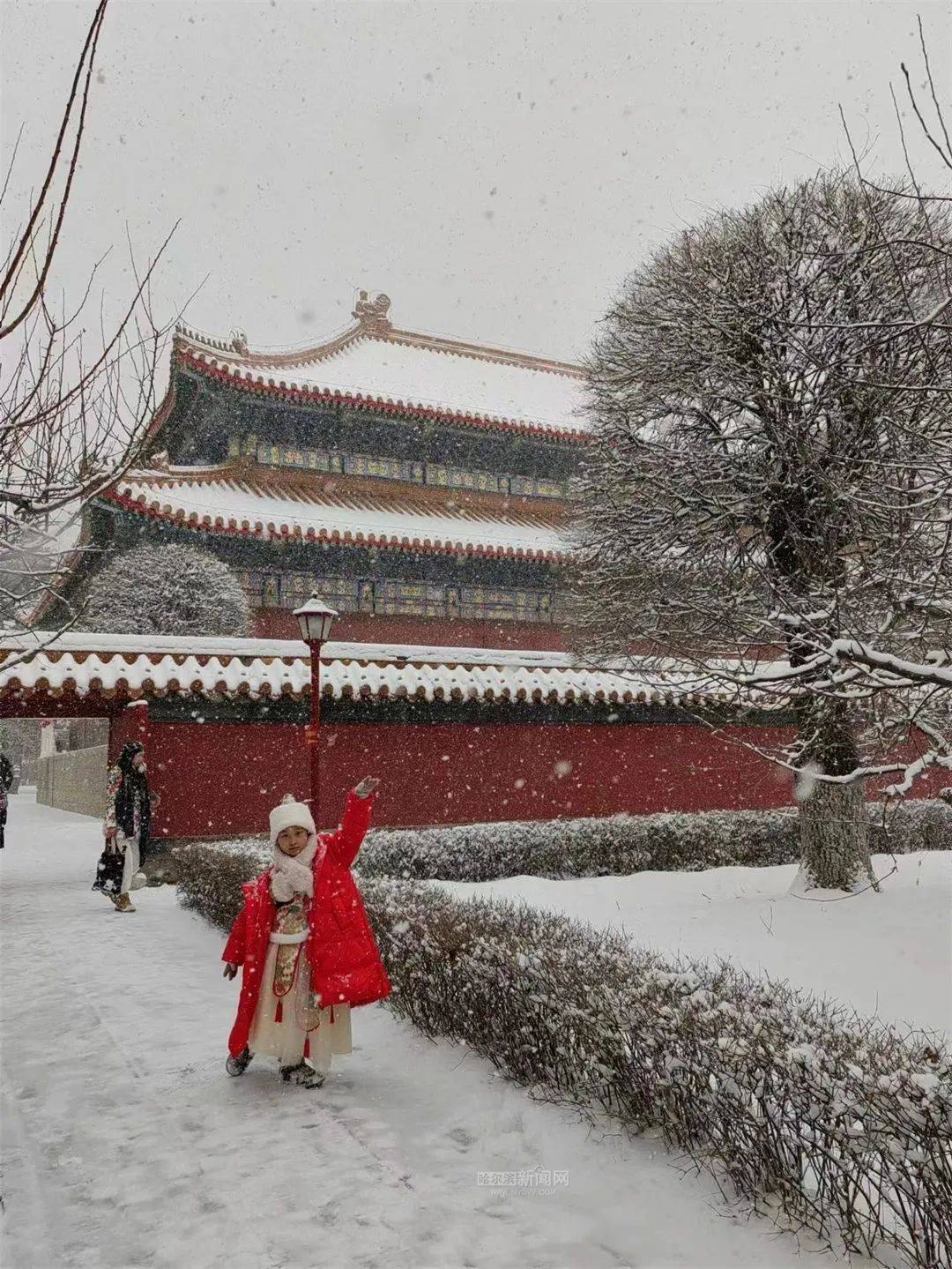 三月的雪花能够有多都雅