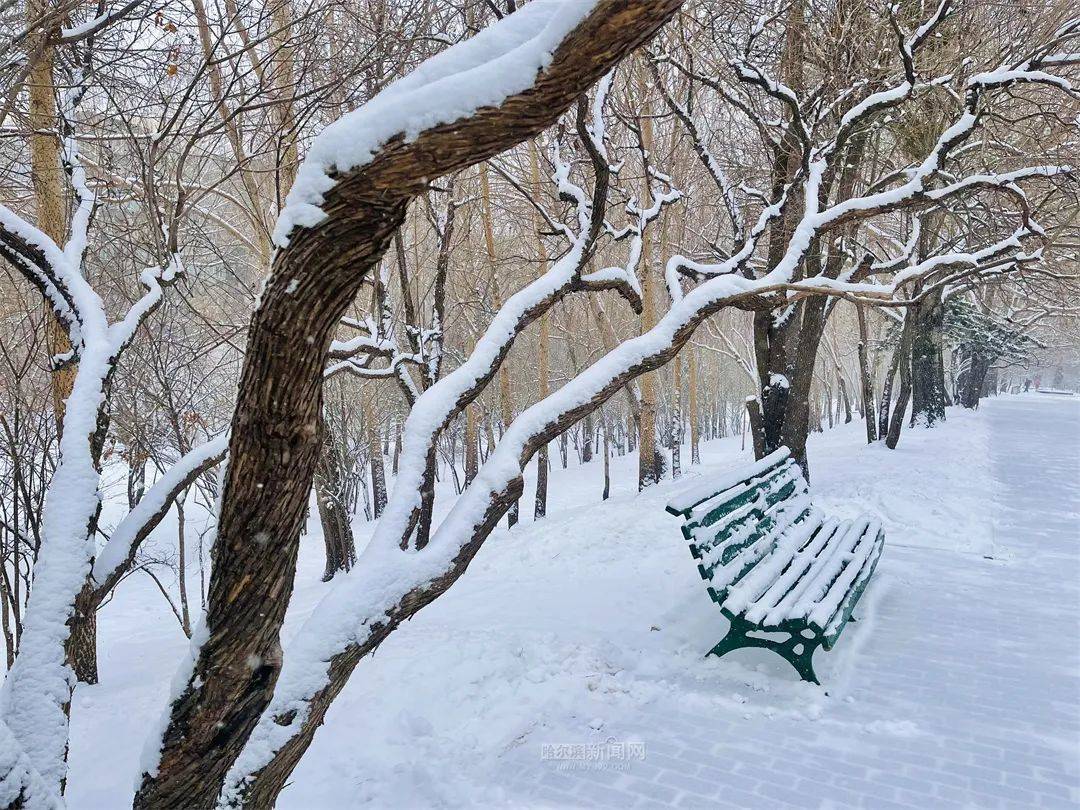 三月的雪花能够有多都雅