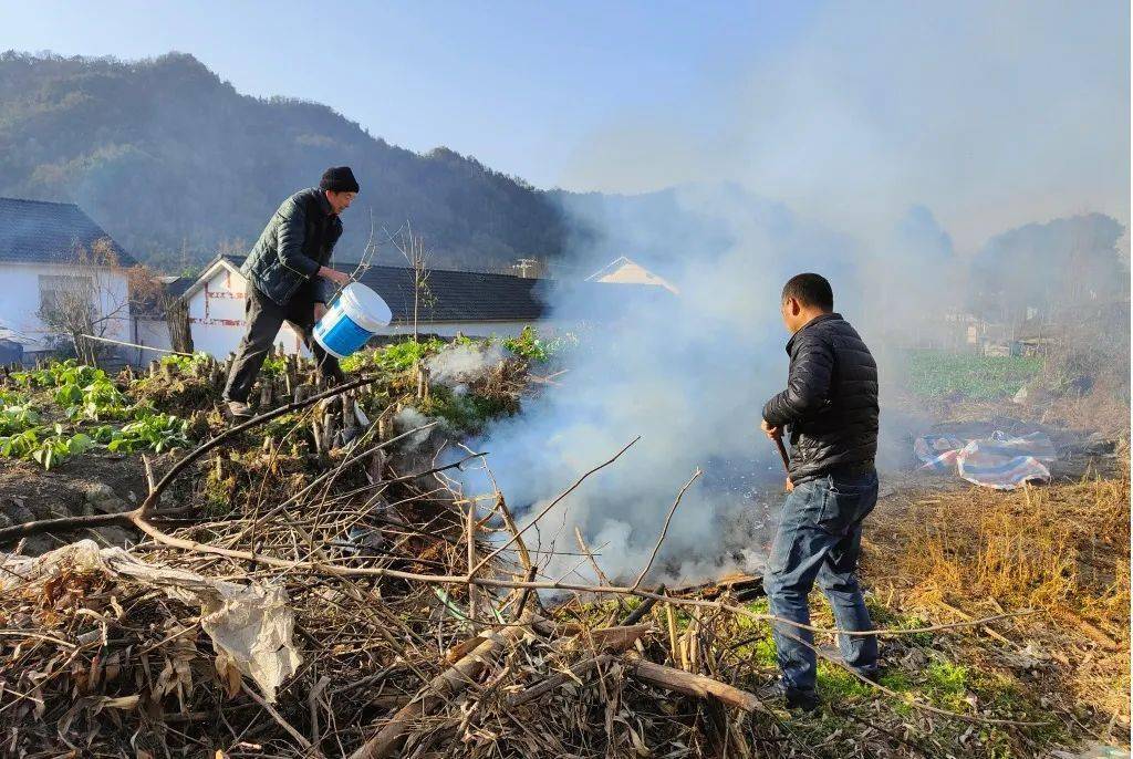 建设新型农村 保护生态环境_白鹿镇_工作_整治