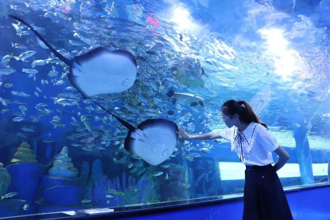 【探秘深海魅力】寿光极地海洋世界一日游 仅158元/人_表演_生物_海底