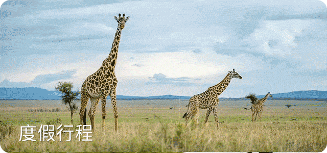 singita-bbc-faru