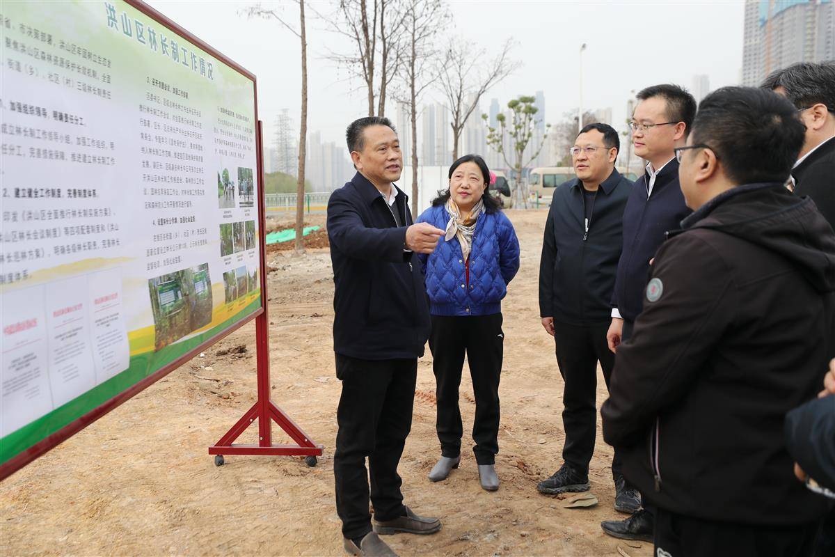 武汉洪山区开展义务植树活动,青菱河东路将打造道路绿