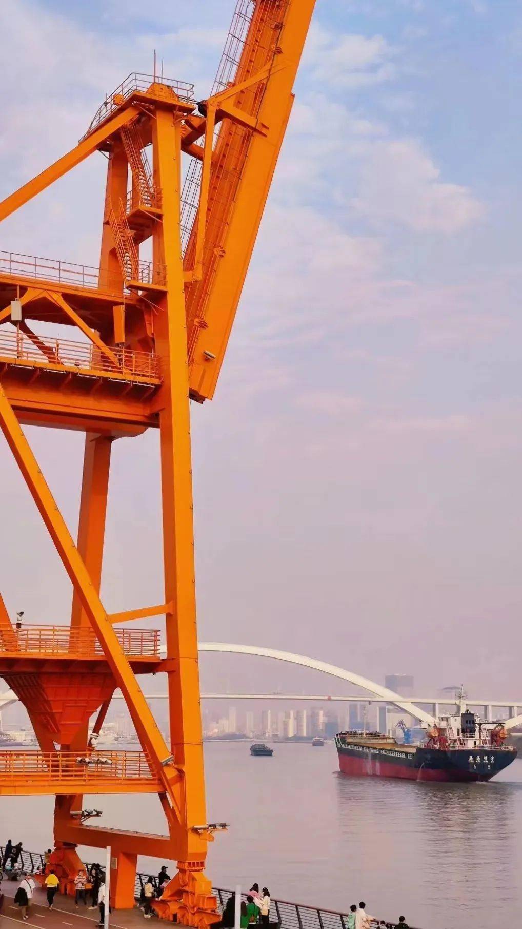 太阳刚落下时,天边还泛出温柔的紫色,江面上巨轮拉着汽笛缓缓滑行