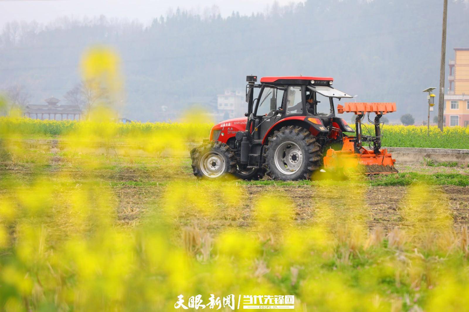 剑河:早春时节农耕忙_机械化_南明镇_贵州