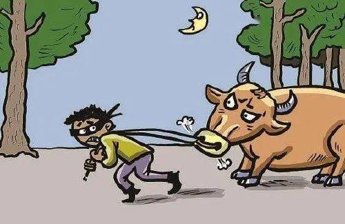 吉水偷牛贼拒不认罪仍被判刑一年三个月_邱某兵_被告人_手套