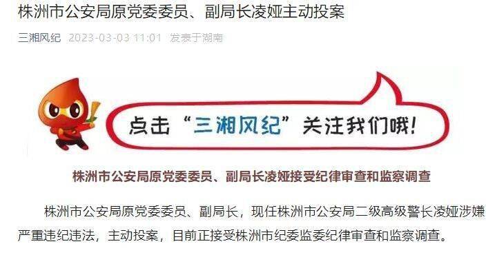 株洲市公安局原党委委员、副局长凌娅主动投案_工作_禁毒_侦破案件