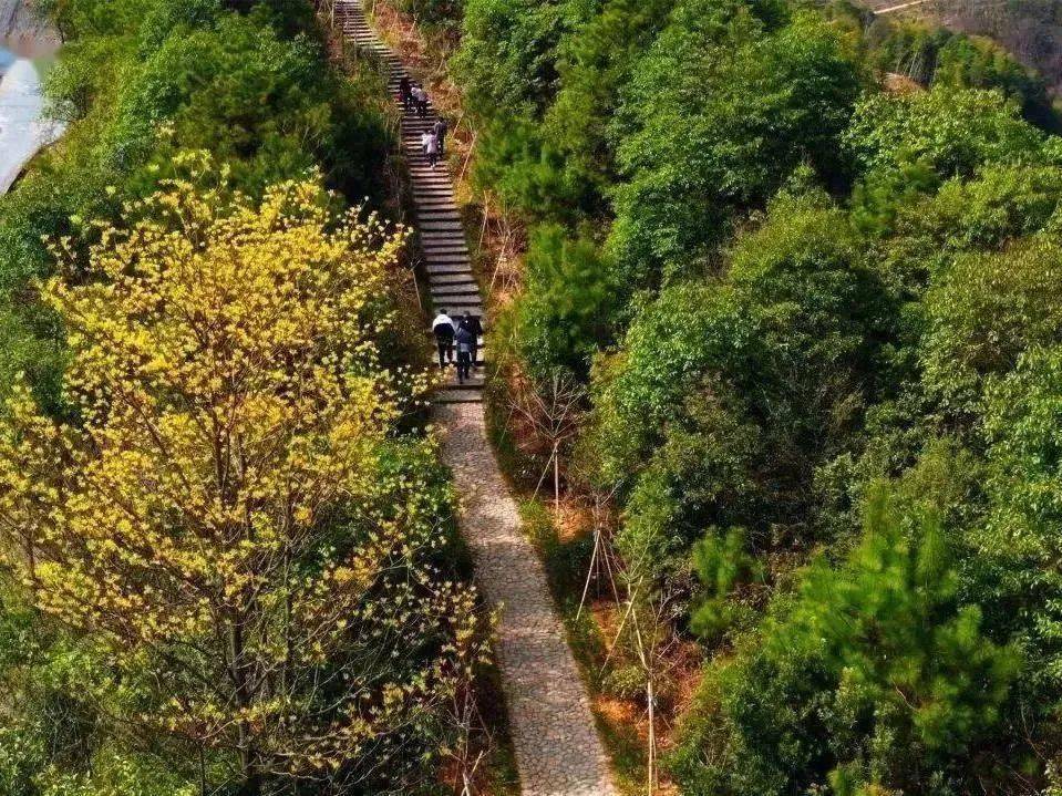 萧山戴村最美跑道图片