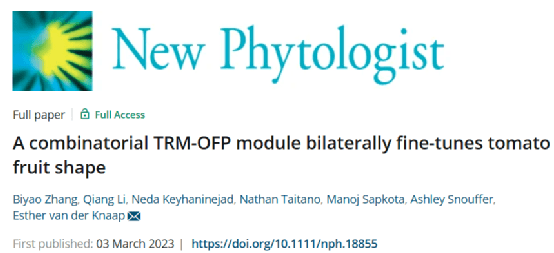 Sprawdzian 1 Gr A Ofp www.sohu.com