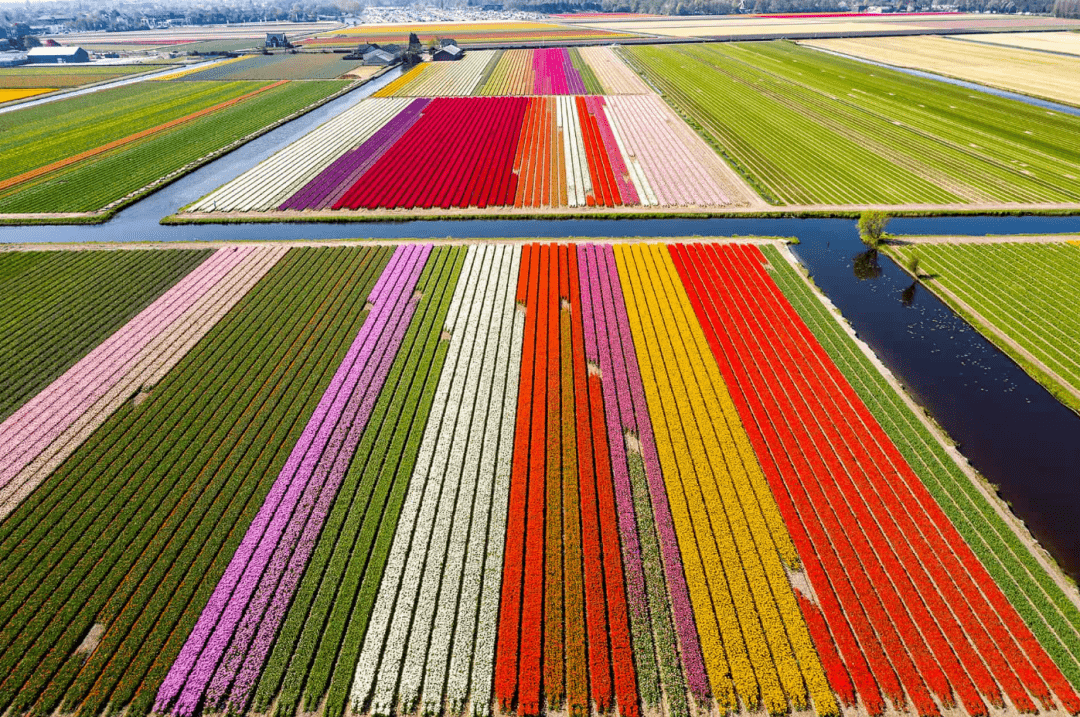 �����������Ŀ�ĵأ�������ϻ��򻨻ܹ�԰��