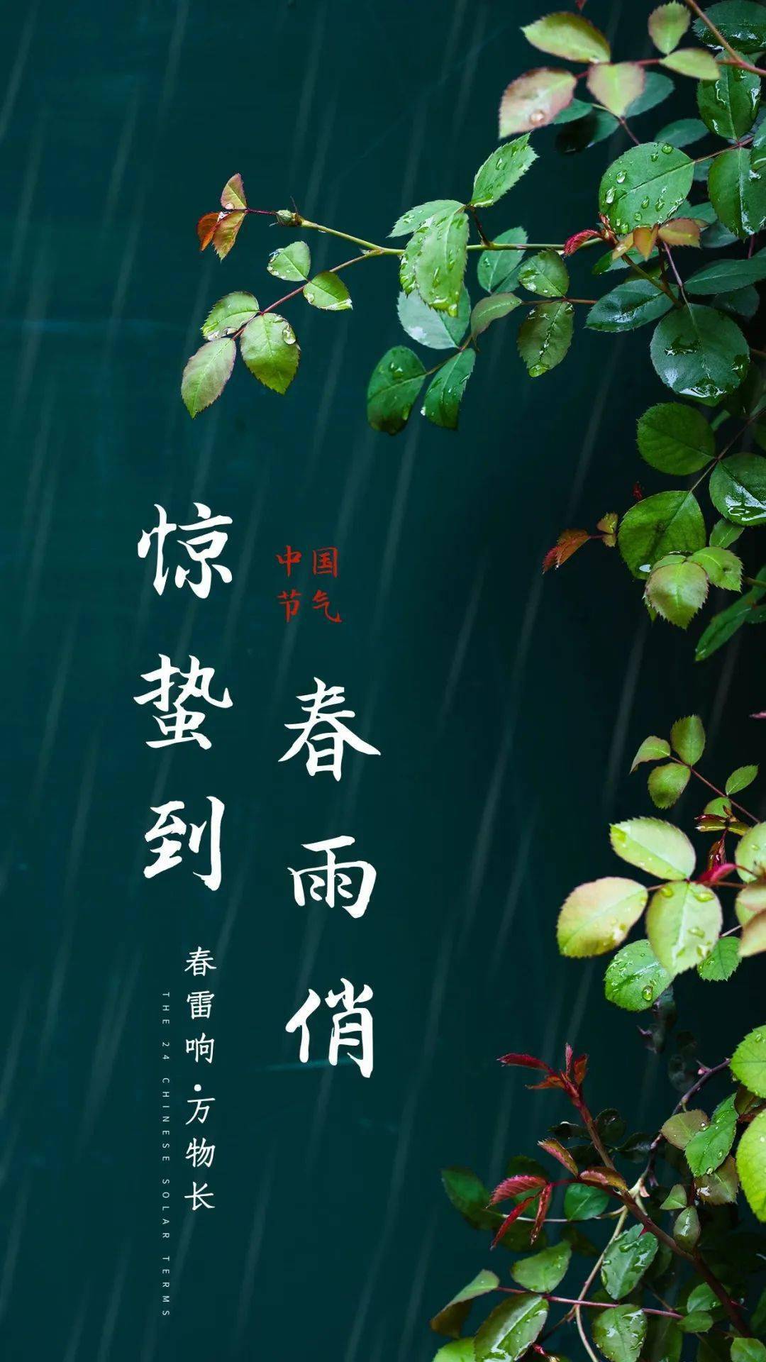 3月6日早安 | 驚蟄節氣_目標_萬物_工作