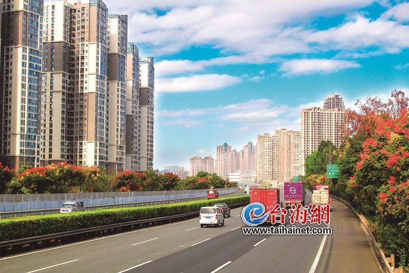 对泉厦高速公路大帽山隧道至同安段中分带的绿化景观有序进行提质升级