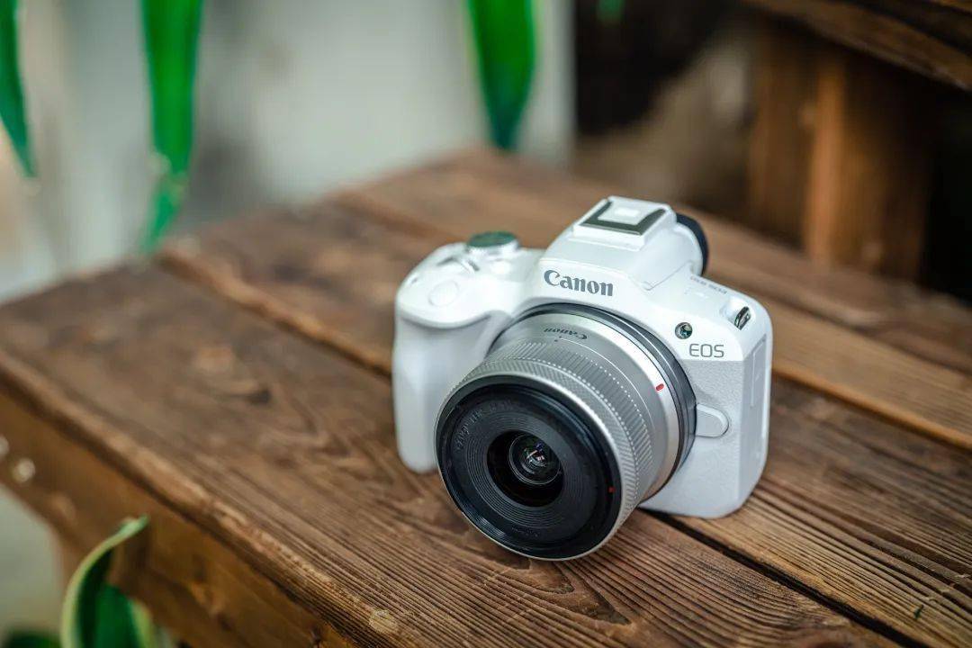小巧易用高颜值单品 佳能eos r50评测_功能_模式_相机