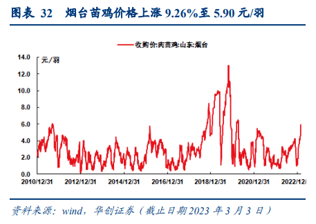 一轮有望创历史新高的“鸡周期”来了？