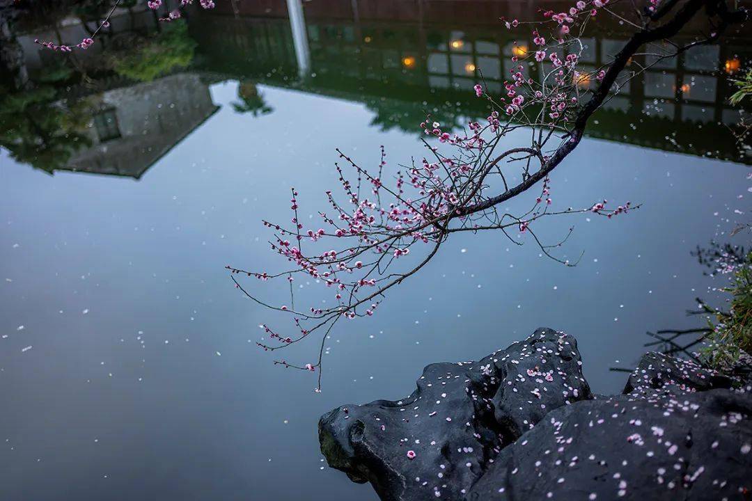 画面感_意境_情感