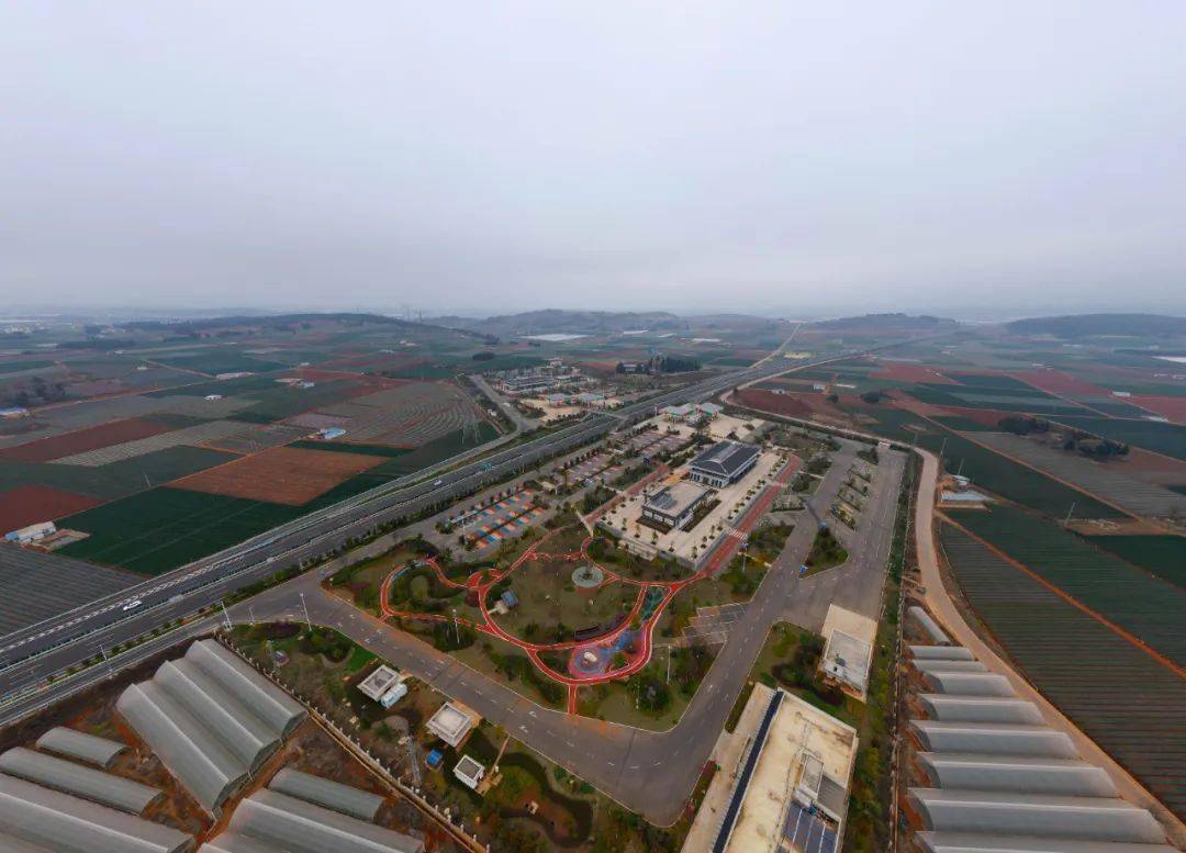 云南这条高速公路背后鲜为人知的故事……_建设_绿化_泸西县