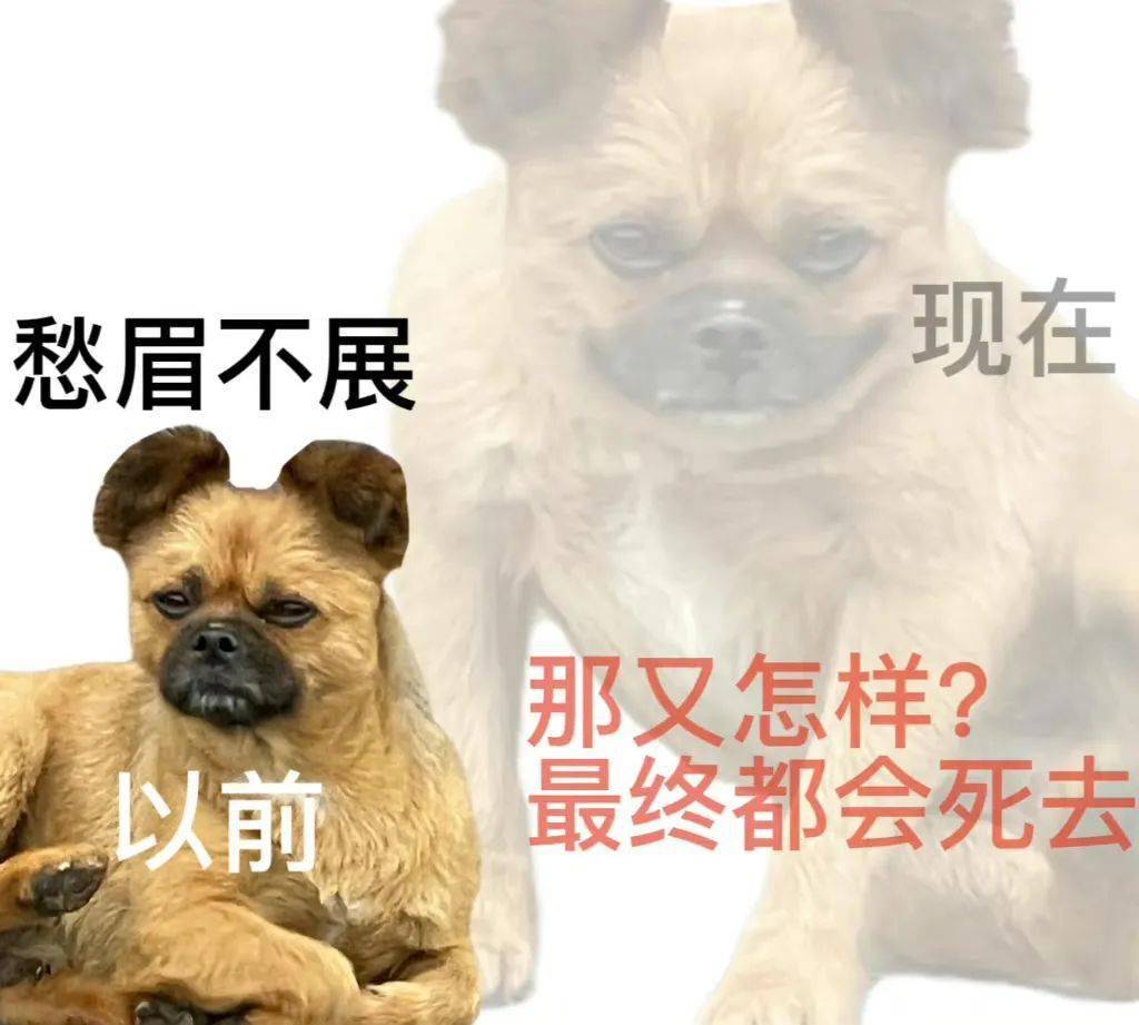 表情包|很内向 出门都走下水道_开心_版权_礼物