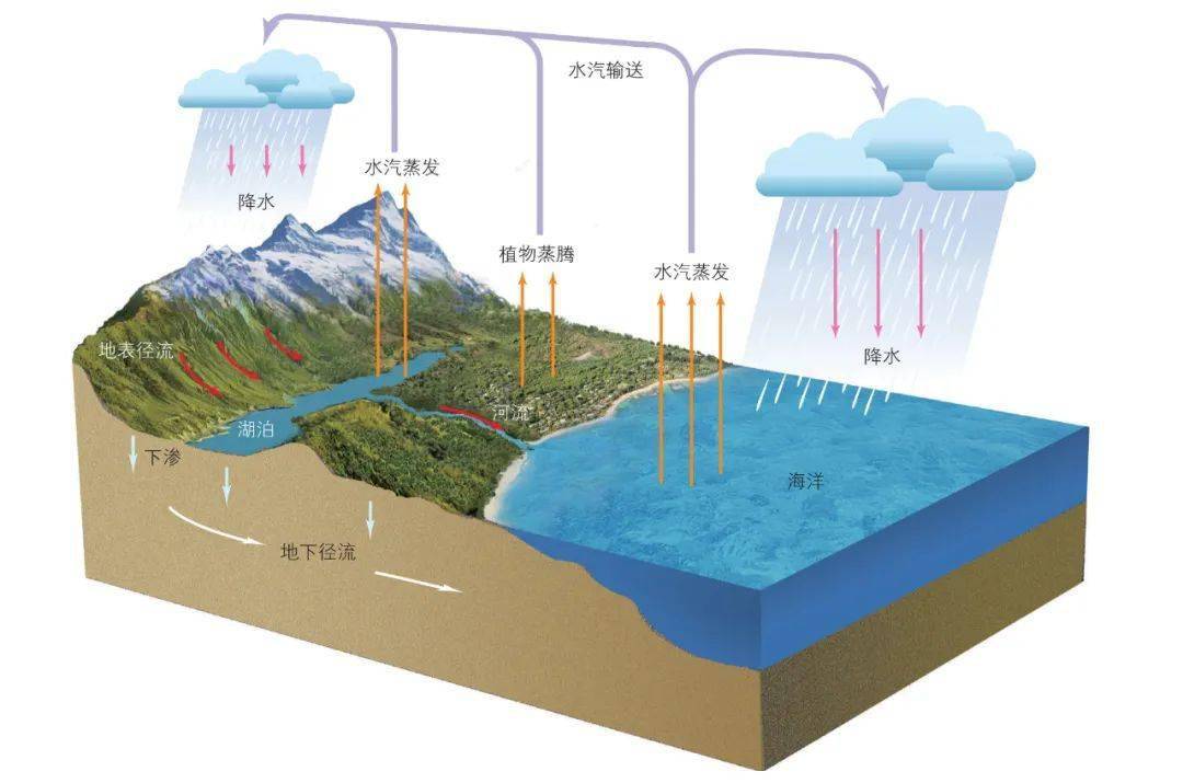 陆地内水循环示意图图片