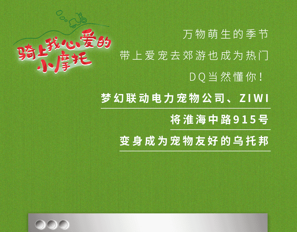 DQ联名潮牌打造宠物友好社区，解锁春游新弄法！