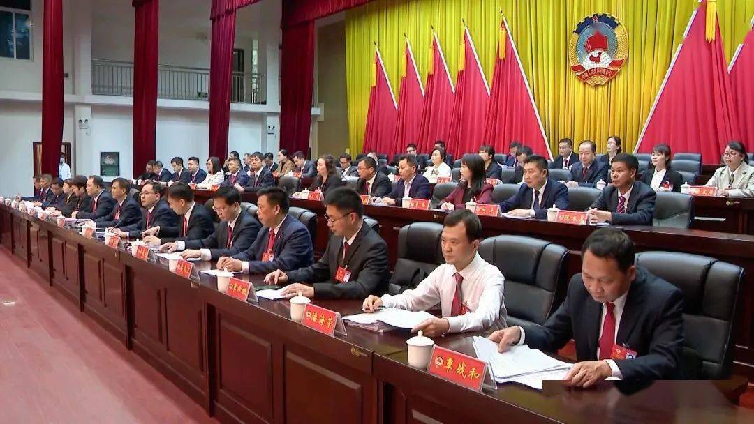 【聚焦两会】市政协十一届三次会议胜利闭幕|罗伟雄吴
