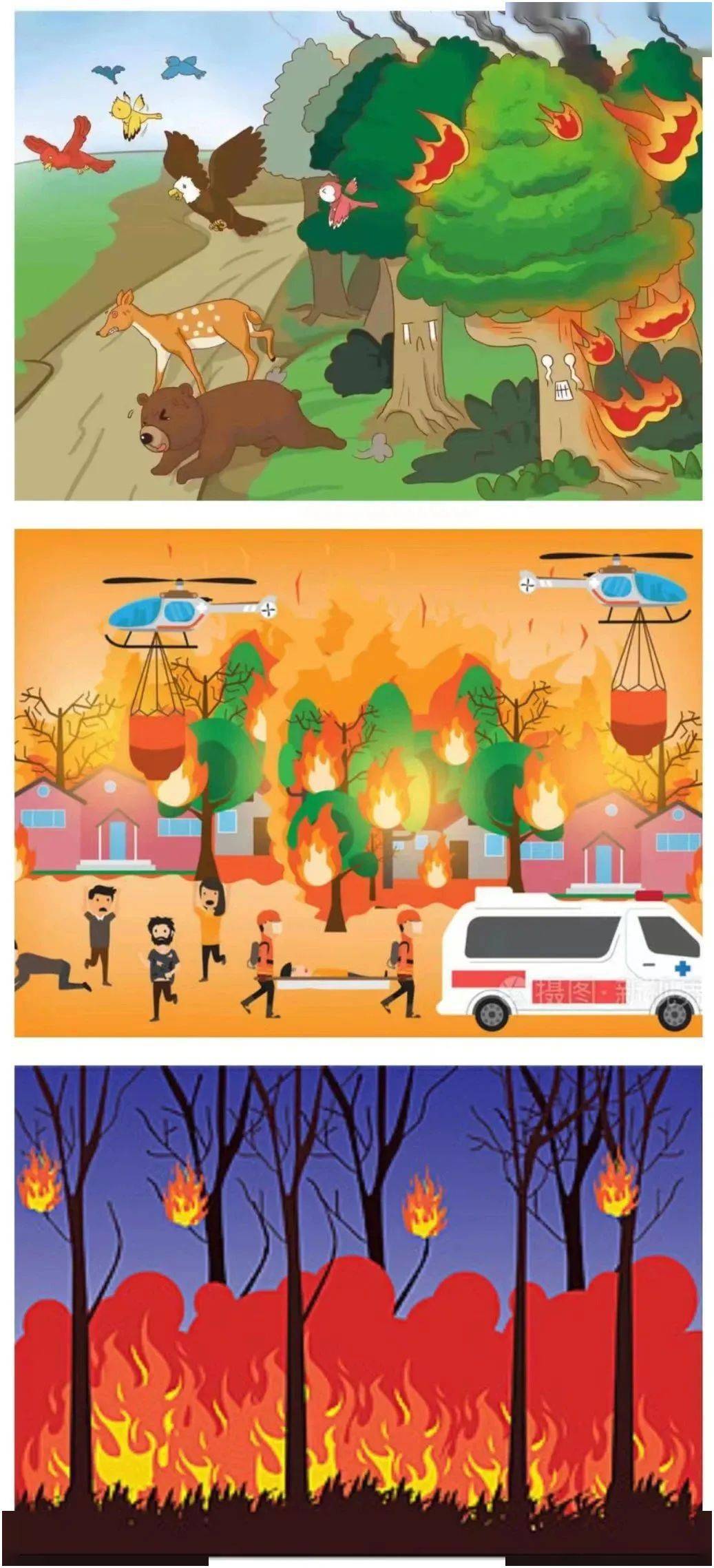 9～12岁森林防火儿童画图片