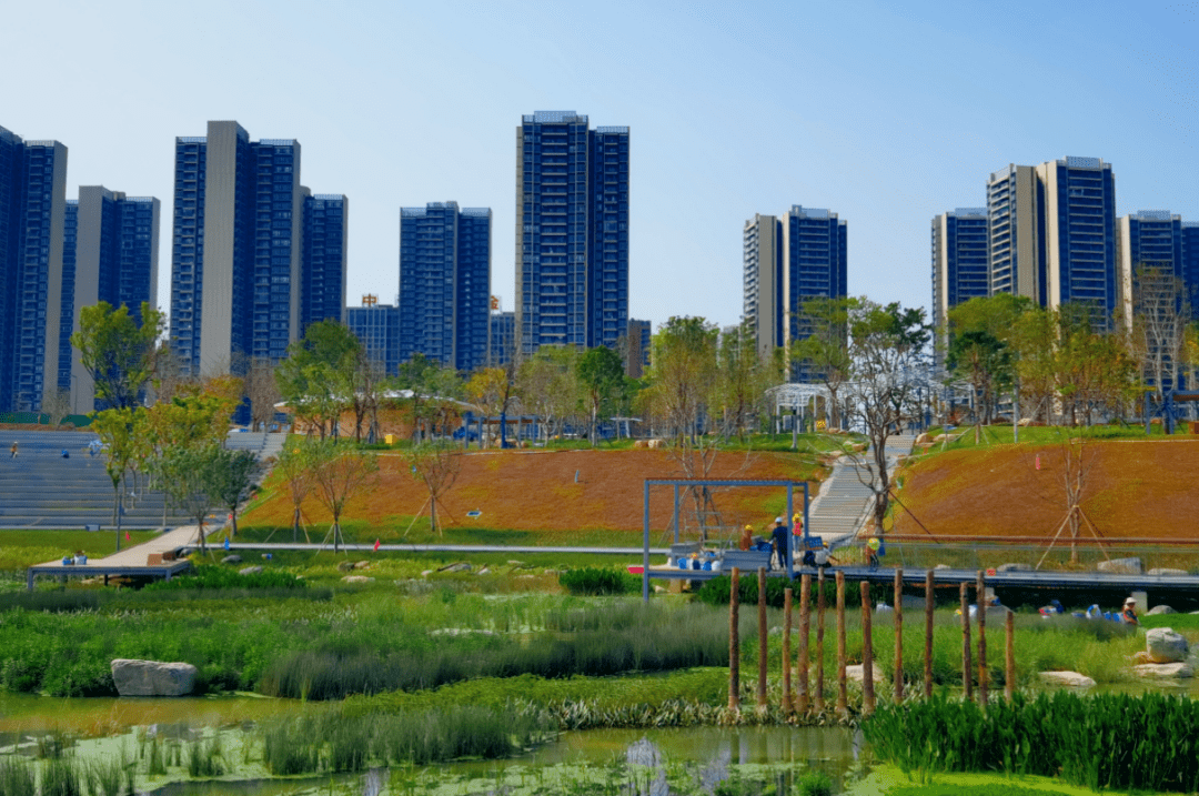 东莞cbd中心公园来了!预计开放时间._活动_湿地_服务